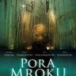 Когда один из моих друзей начинает задаваться вопросом, почему поляки в настоящее время не снимают громких кинематографических фильмов ужасов, я всегда рекомендую им посмотреть «Время тьмы»
