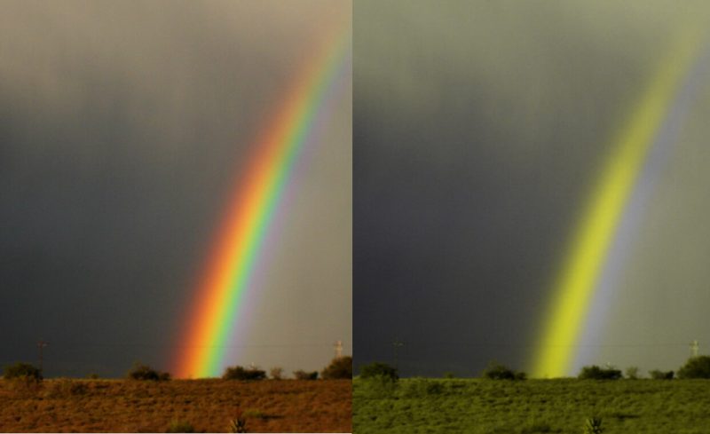 Слева радугу видит типичный человек, справа - дальтоник
